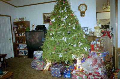 A christmas tree.JPG